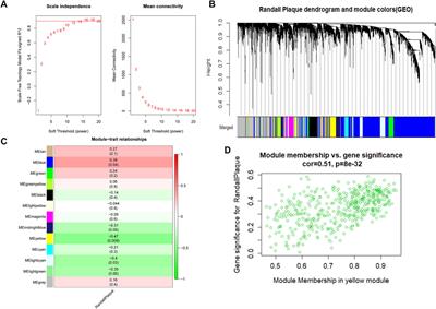 Identification of the core genes in Randall’s plaque of kidney stone and immune infiltration with WGCNA network